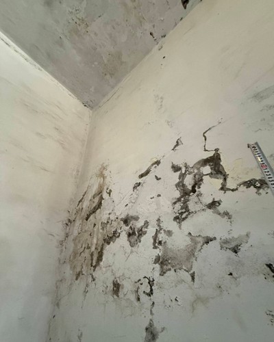 台北油漆, 台北壁癌油漆, 台北壁癌處理施工, 台北修補壁癌, 台北油漆工程行, 台北油漆推薦, 台北油漆行, 
				台北油漆粉刷, 台北油漆工程價格, 台北油漆工程價目表, 台北油漆工程, 台北油漆施工價目表, 台北油漆施工, 台北外牆油漆, 台北外牆防水油漆, 台北壁癌處理